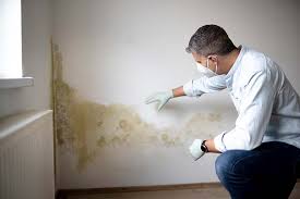 Best Mold-Related Health Consultation  in Mount Pleasant, NC